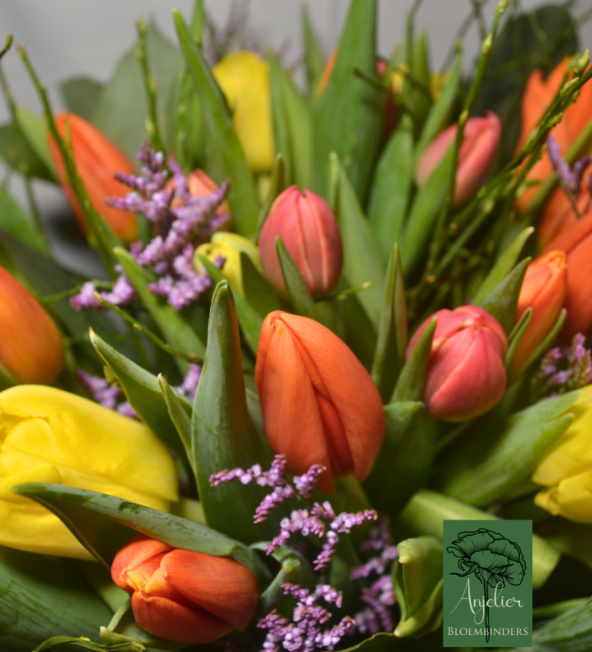 Tulpenexplosie - Afbeelding 2